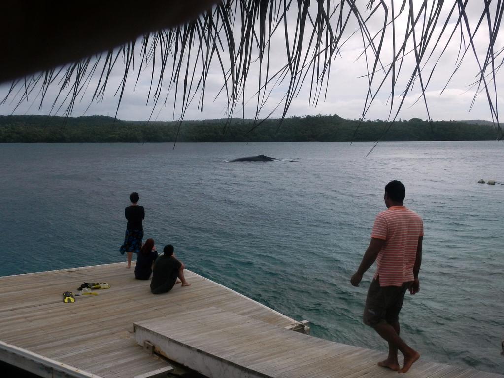 Tongan Beach Resort Utungake Eksteriør bilde